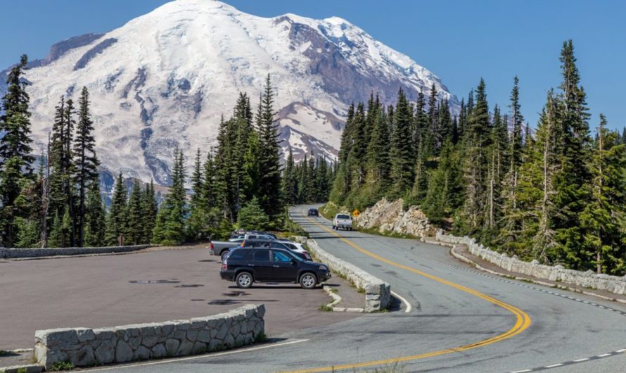 Guida al Parco Nazionale del Monte Rainier: Esplorando le Meraviglie Naturali nei Dintorni di Seattle